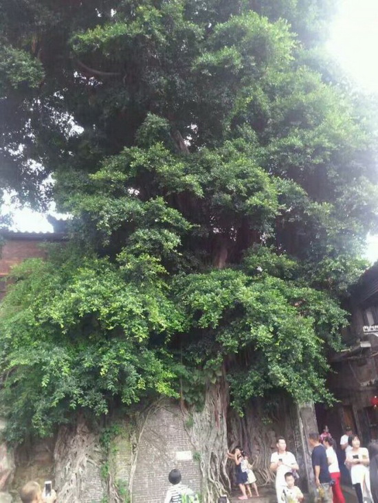 hjc888黄金城--手机版app官网