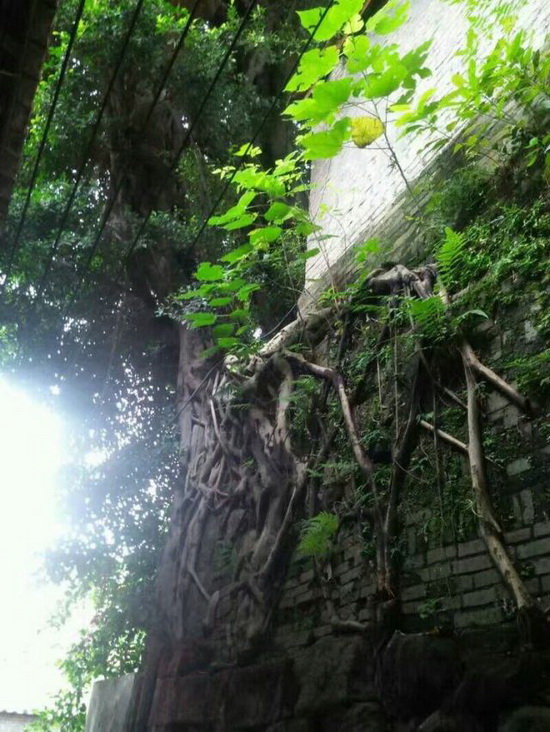 hjc888黄金城--手机版app官网