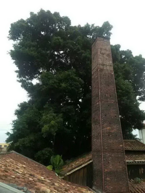 hjc888黄金城--手机版app官网