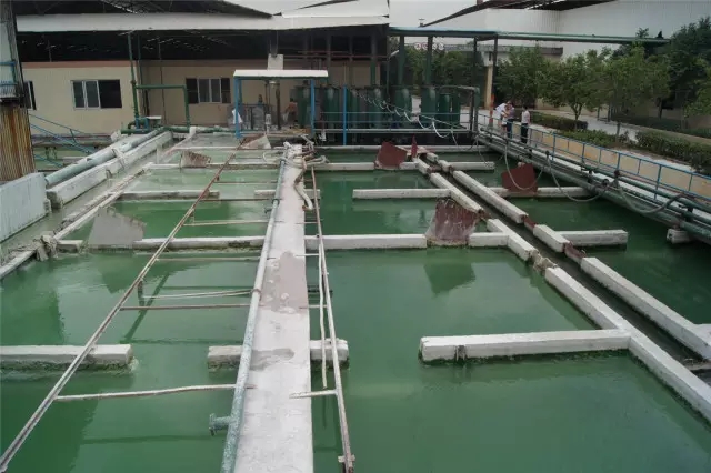 hjc888黄金城--手机版app官网