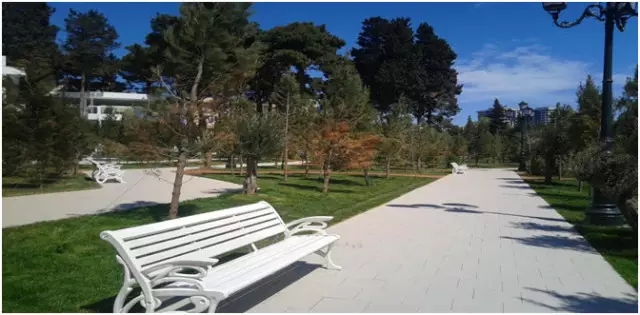 hjc888黄金城--手机版app官网