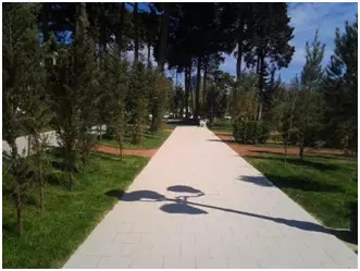 hjc888黄金城--手机版app官网