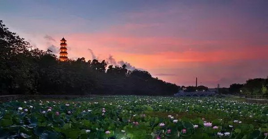 hjc888黄金城--手机版app官网