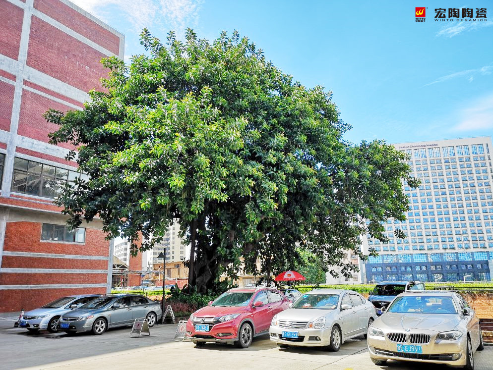 hjc888黄金城--手机版app官网