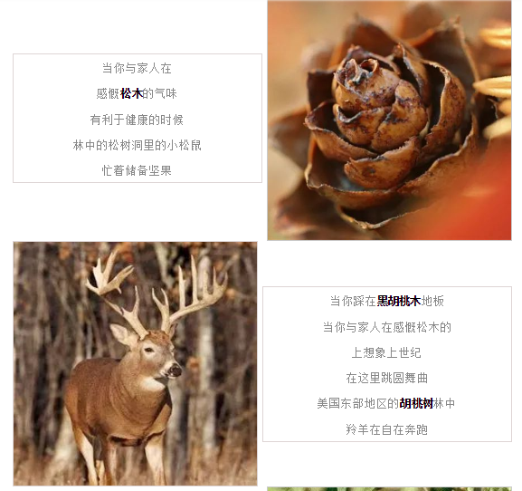 hjc888黄金城--手机版app官网