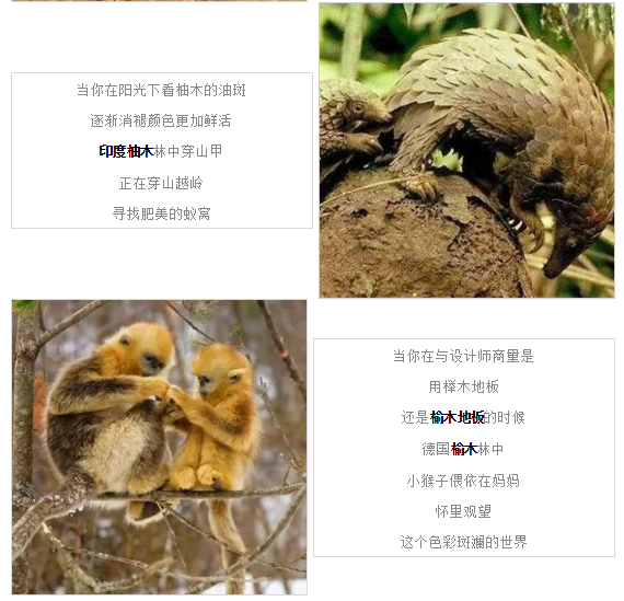 hjc888黄金城--手机版app官网