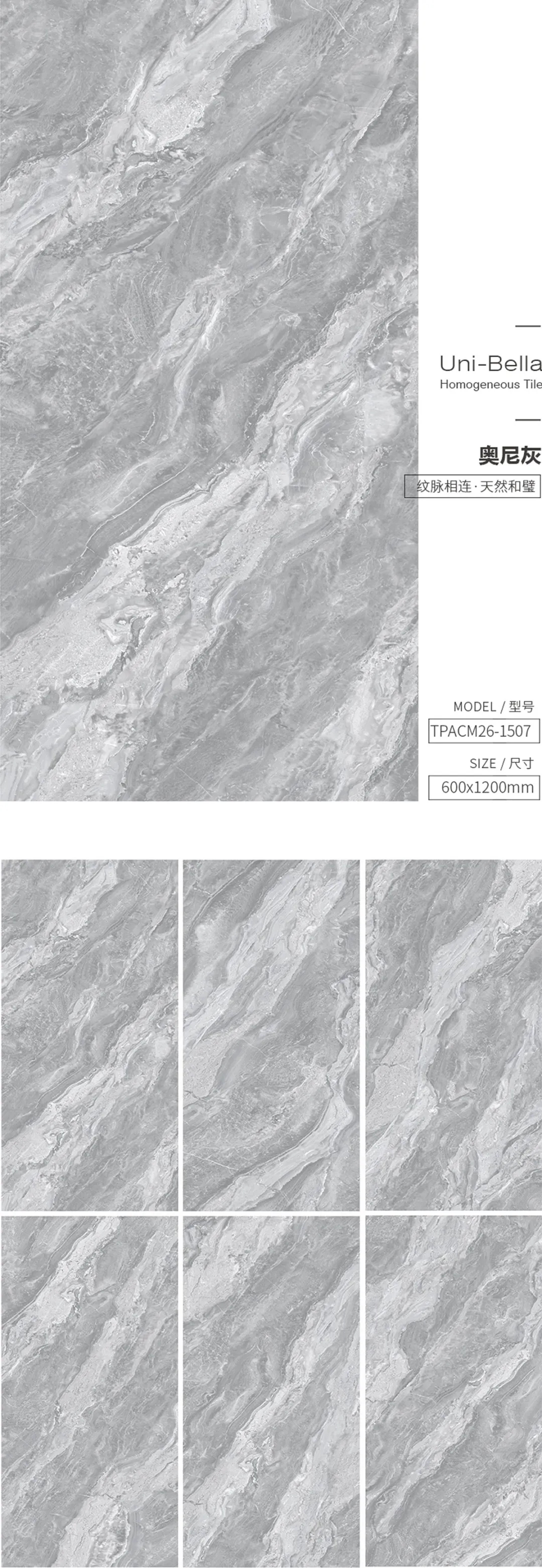 hjc888黄金城和璧岩·通体灰色瓷砖地砖