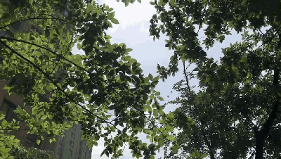 hjc888黄金城陶瓷