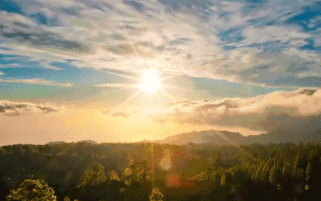 hjc888黄金城陶瓷