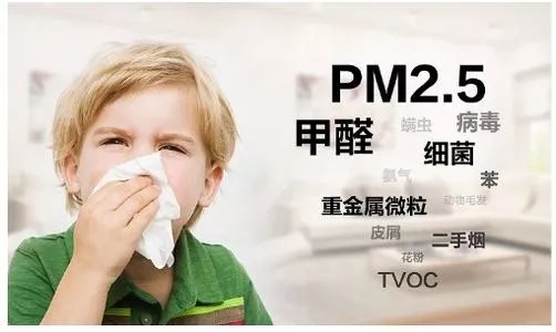 hjc888黄金城康健净界瓷砖地砖