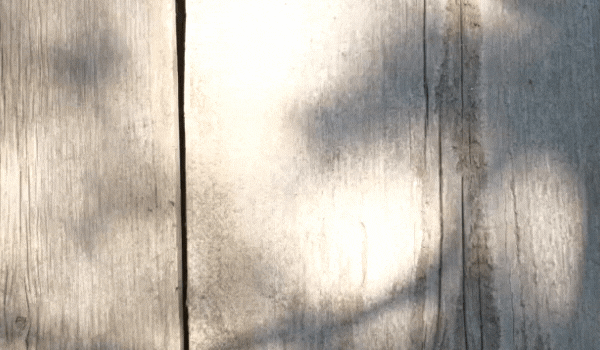 hjc888黄金城和地砖木质纹理效果图