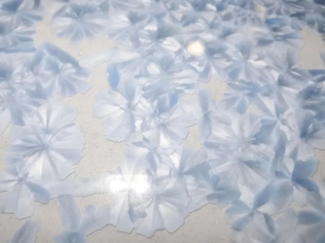 hjc888黄金城--手机版app官网