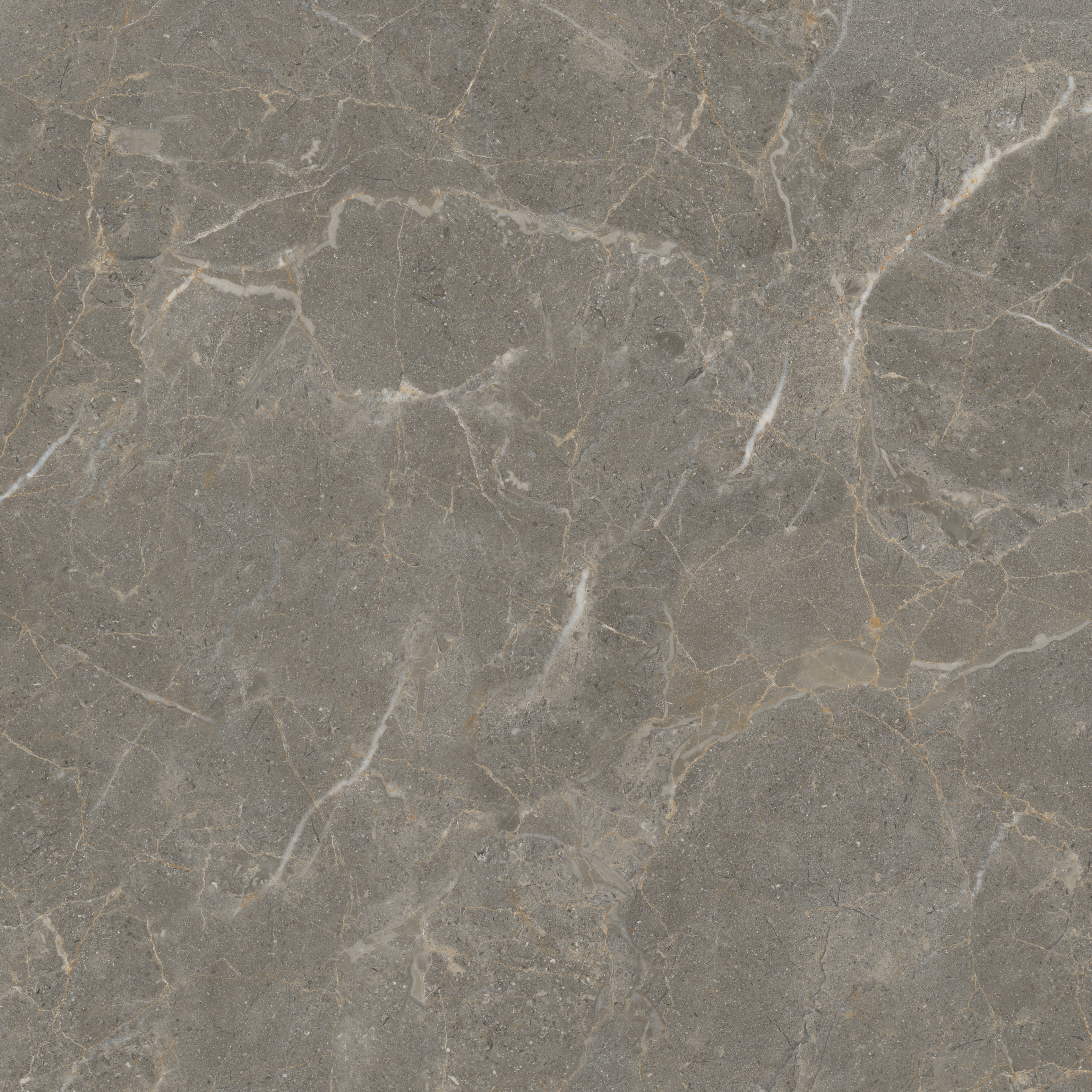 hjc888黄金城--手机版app官网