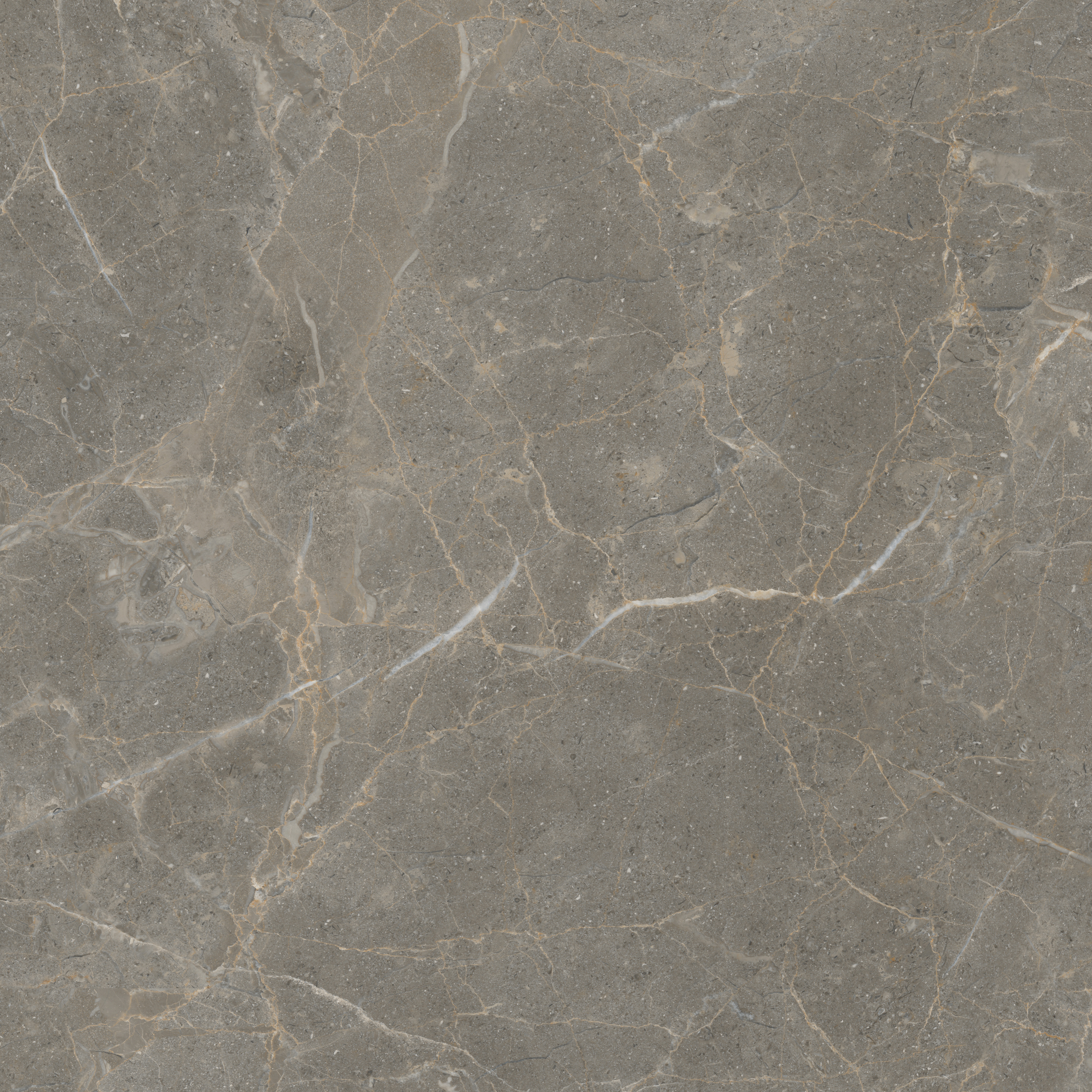 hjc888黄金城--手机版app官网