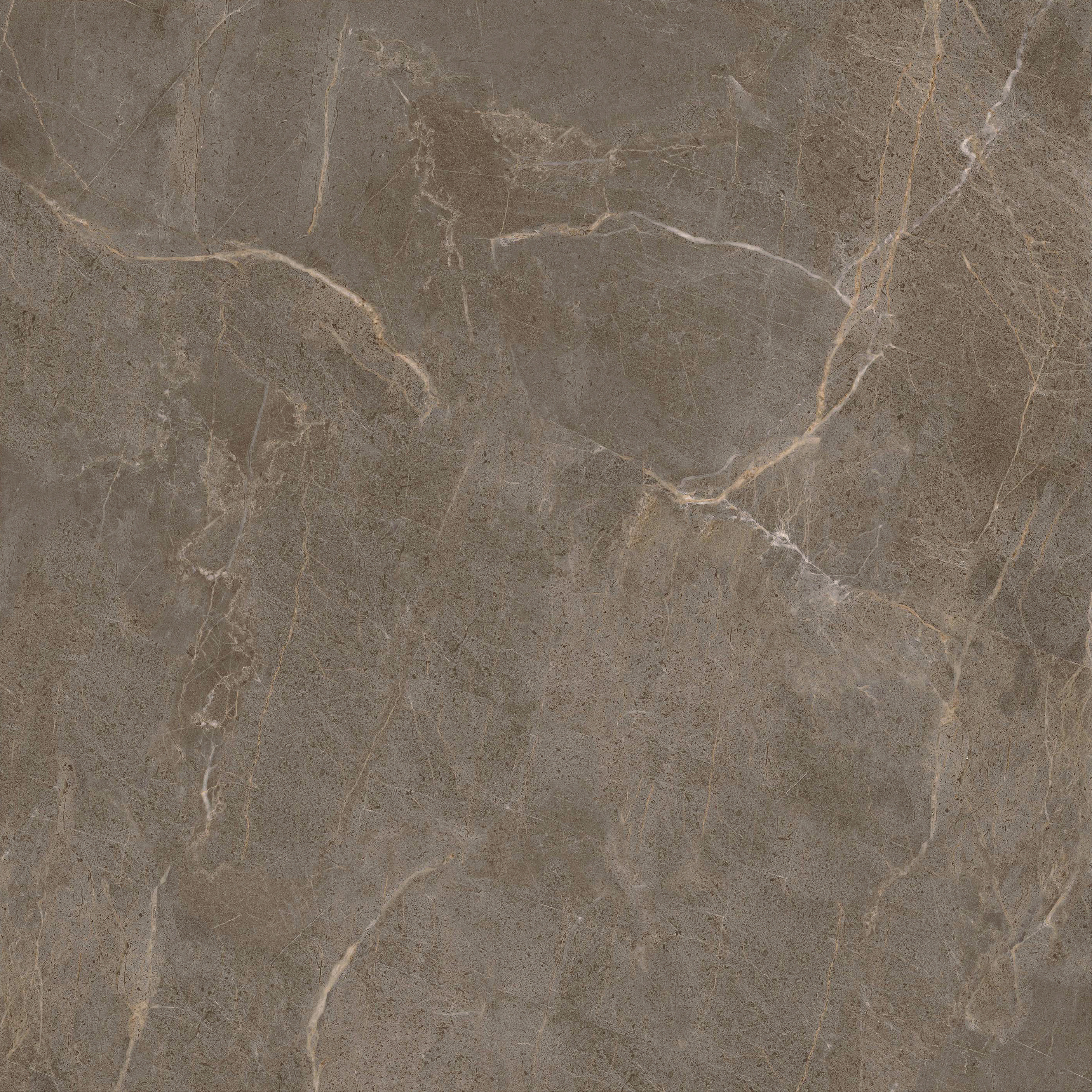 hjc888黄金城--手机版app官网