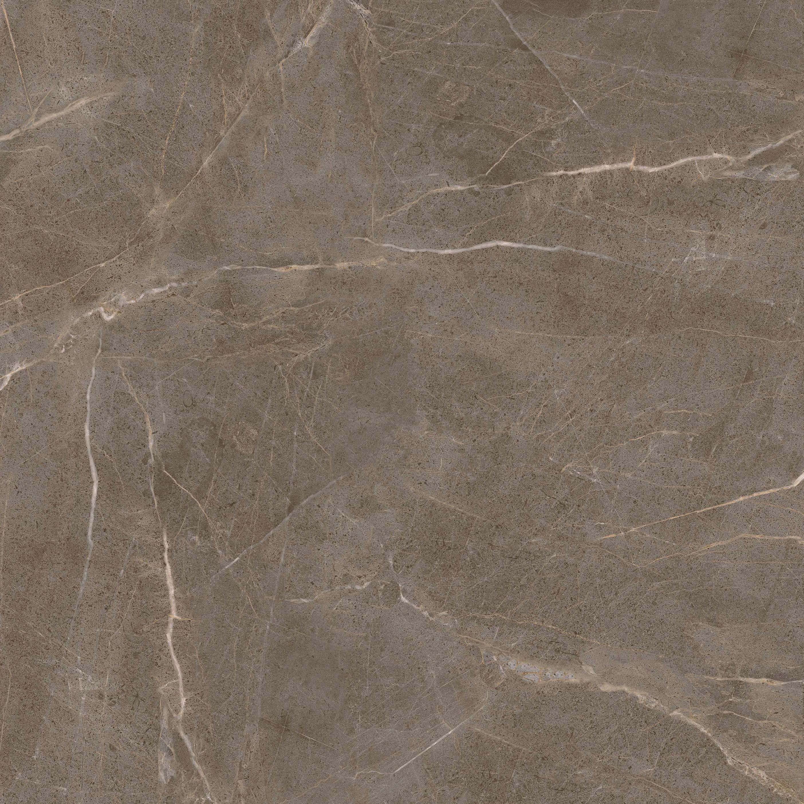 hjc888黄金城--手机版app官网