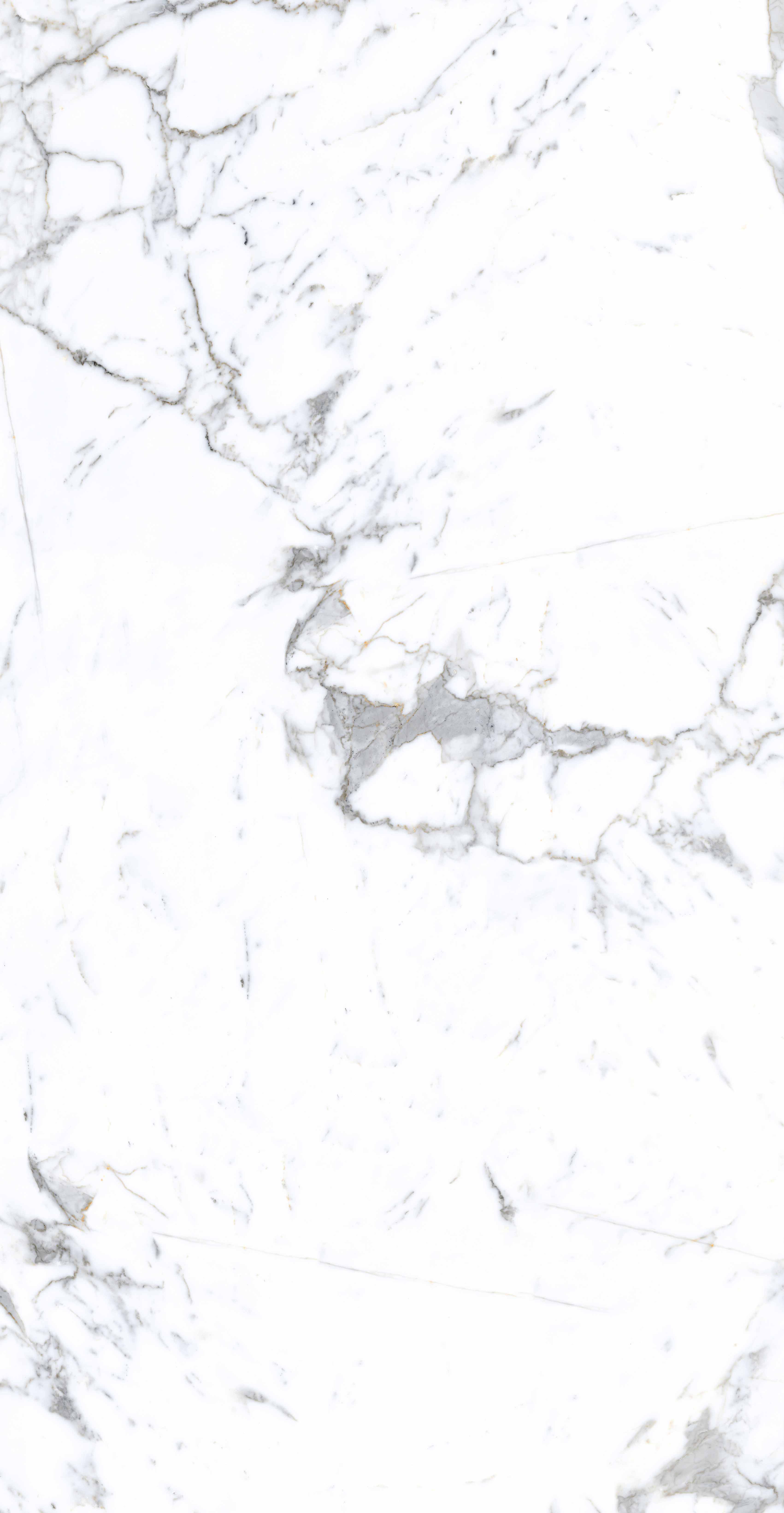 hjc888黄金城--手机版app官网