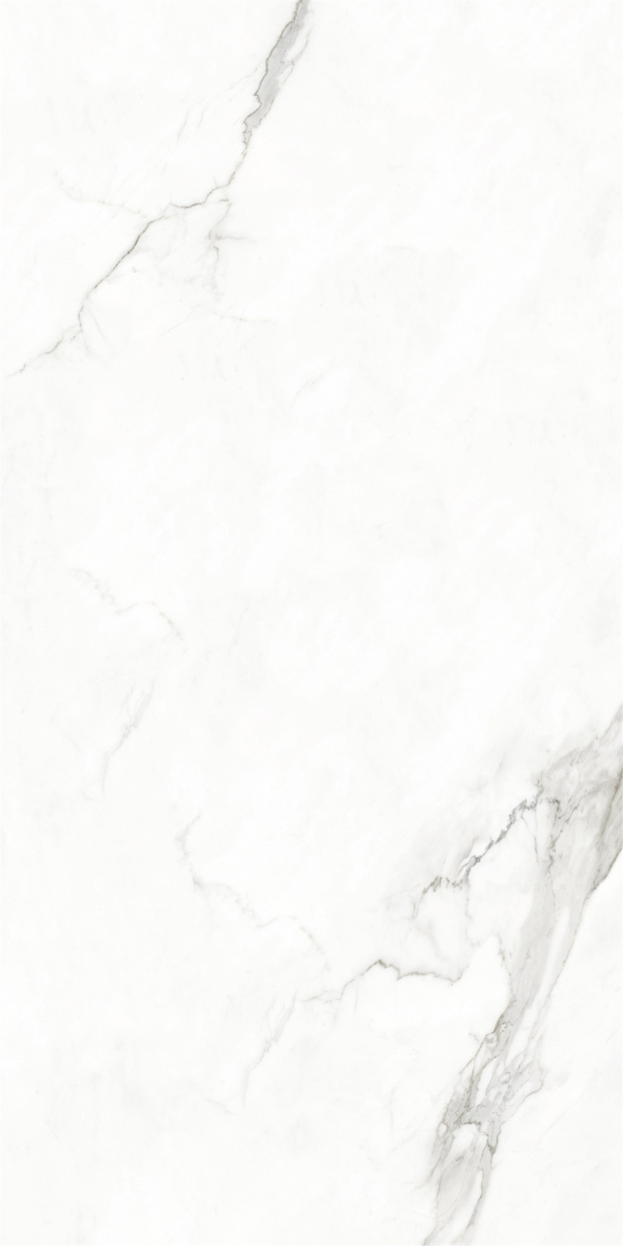 hjc888黄金城--手机版app官网