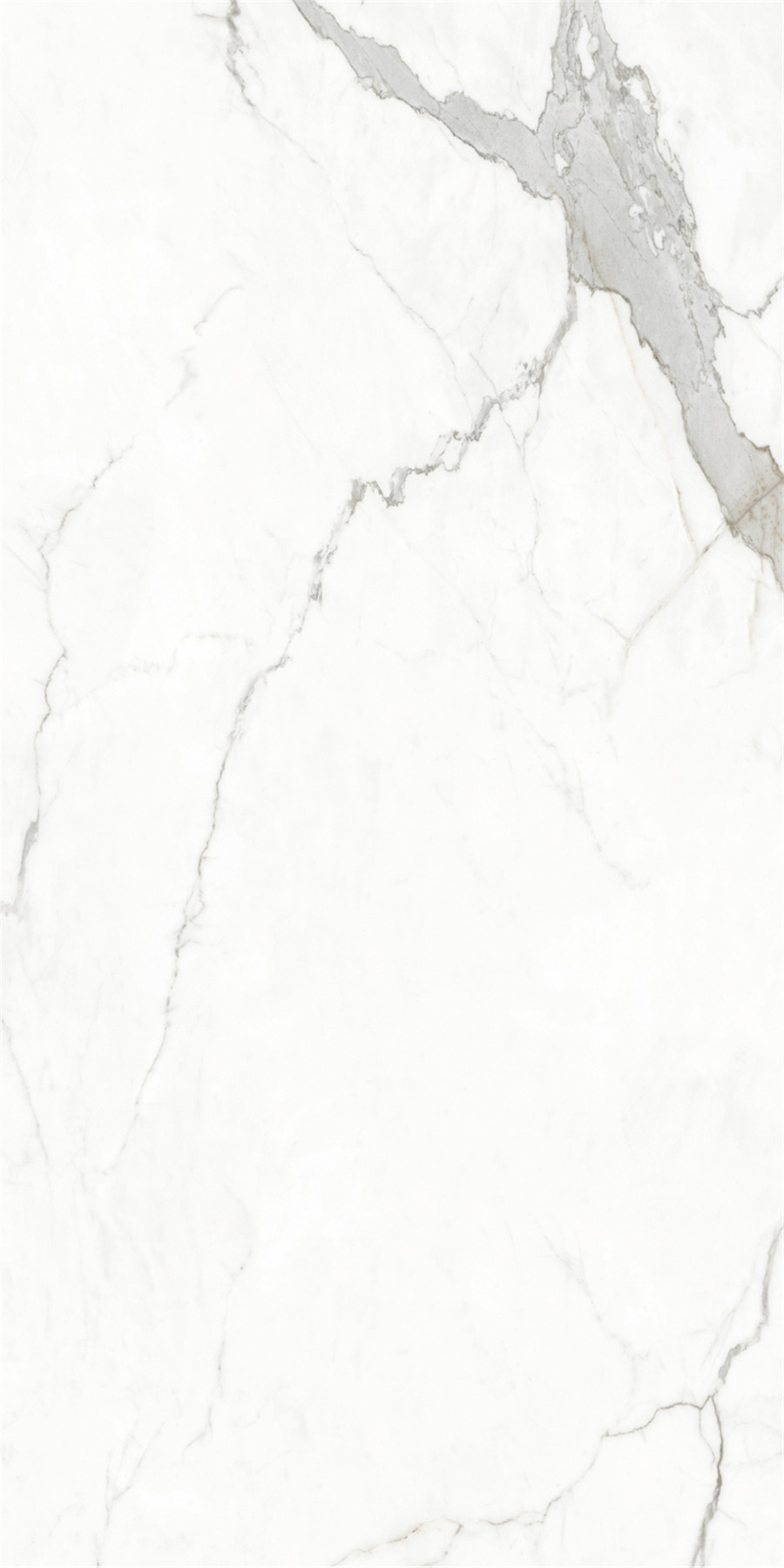 hjc888黄金城--手机版app官网