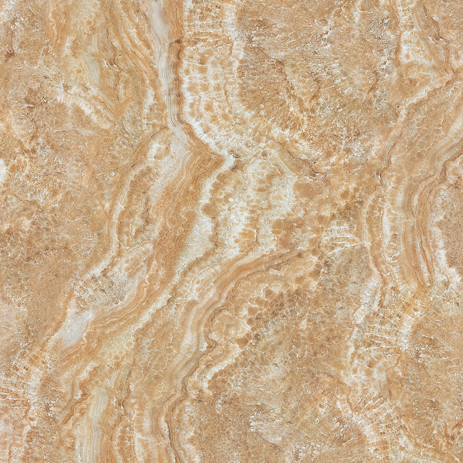 hjc888黄金城--手机版app官网