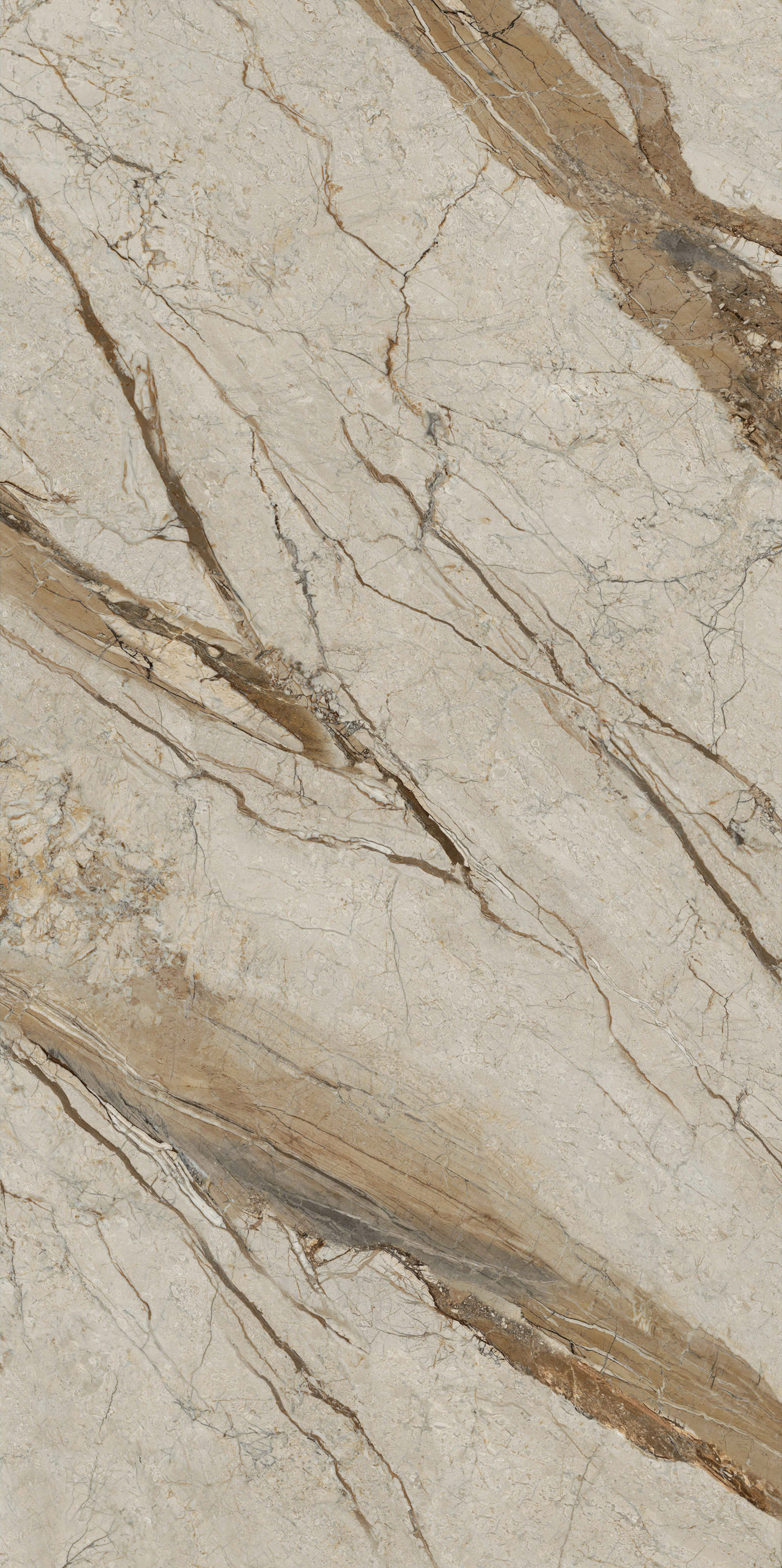 hjc888黄金城--手机版app官网