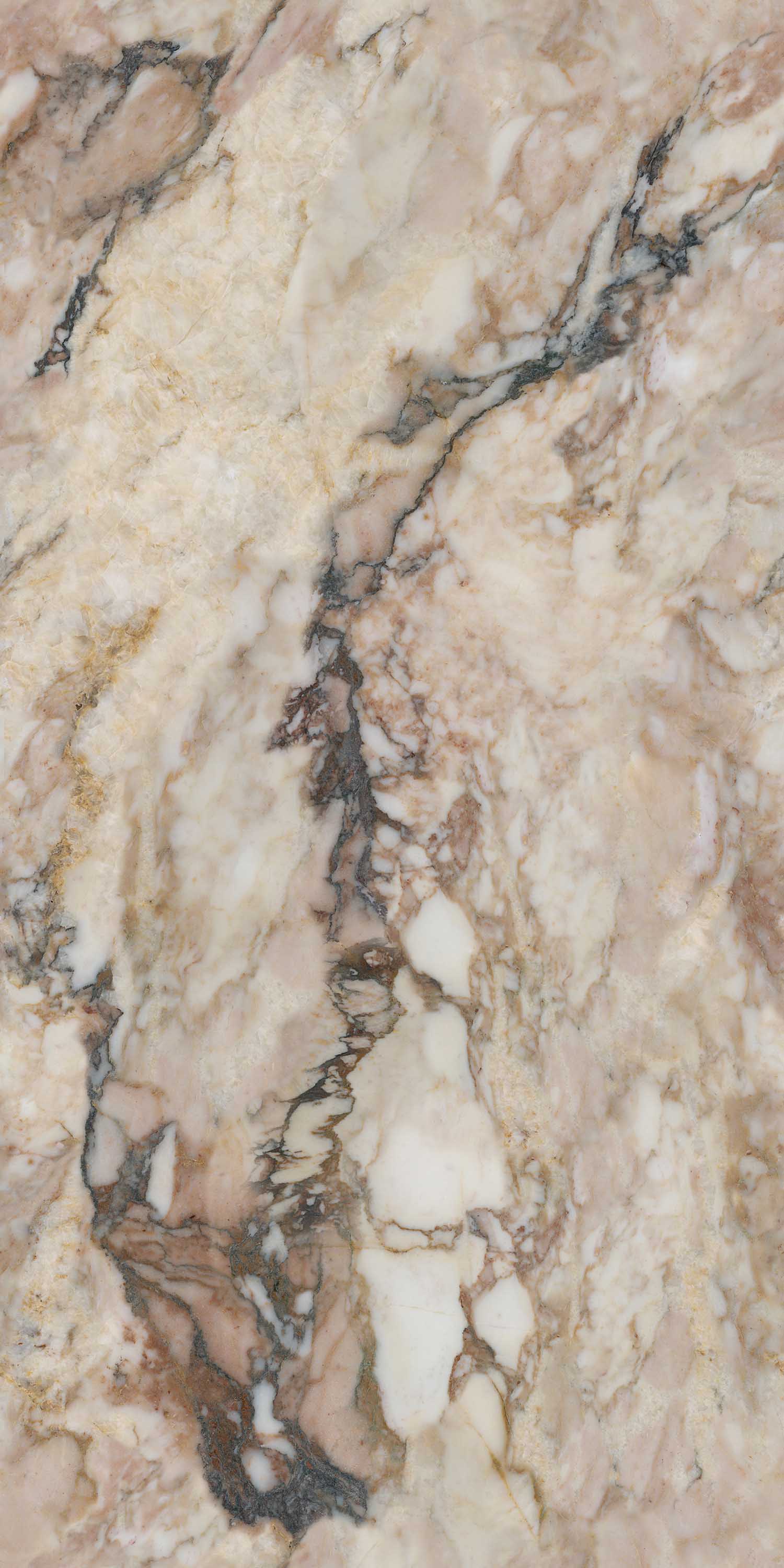 hjc888黄金城--手机版app官网