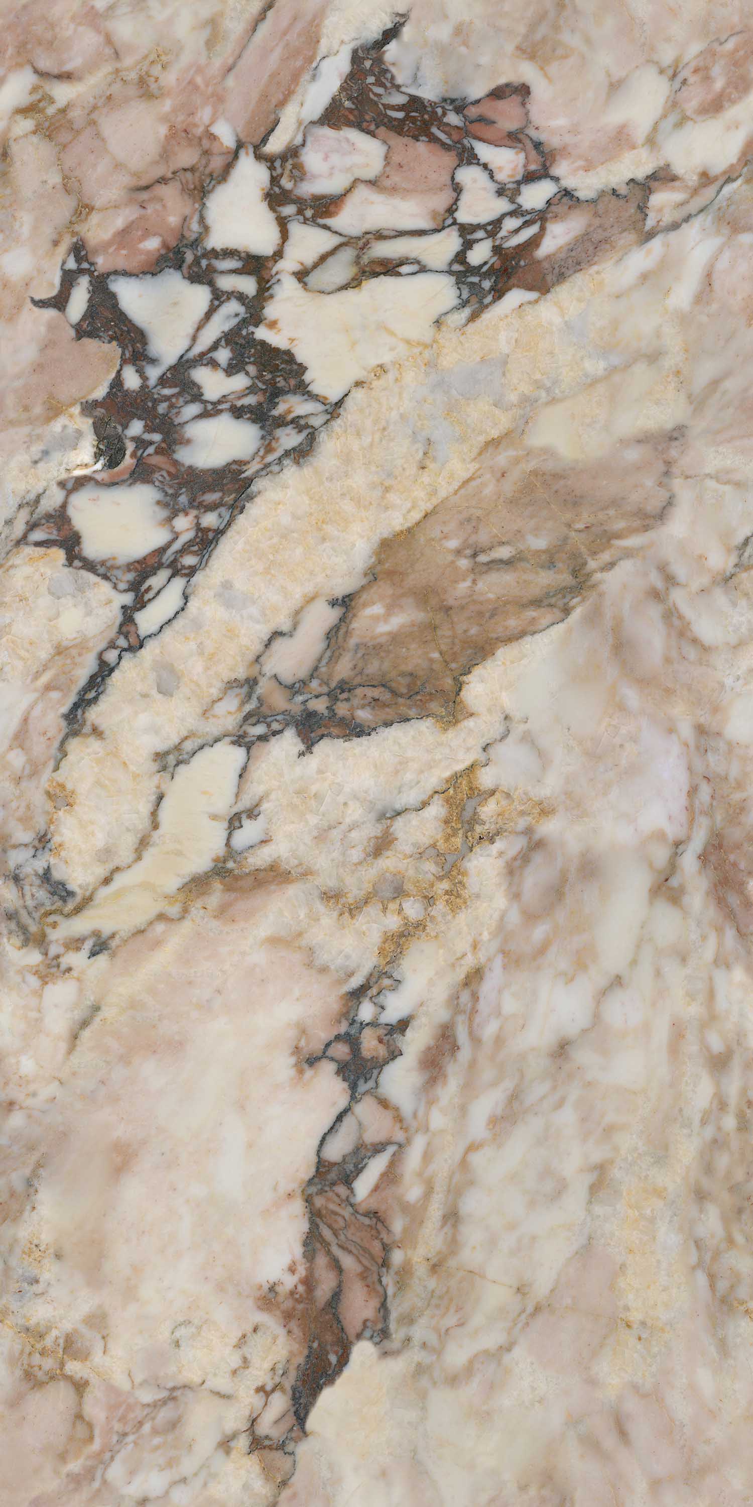 hjc888黄金城--手机版app官网