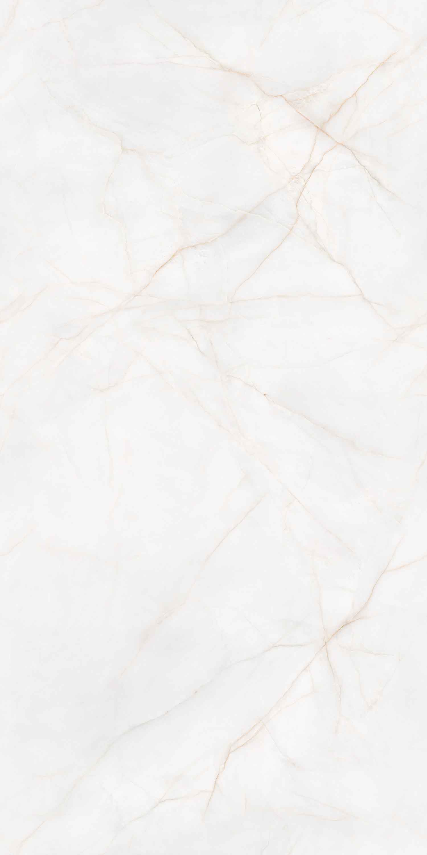 hjc888黄金城--手机版app官网