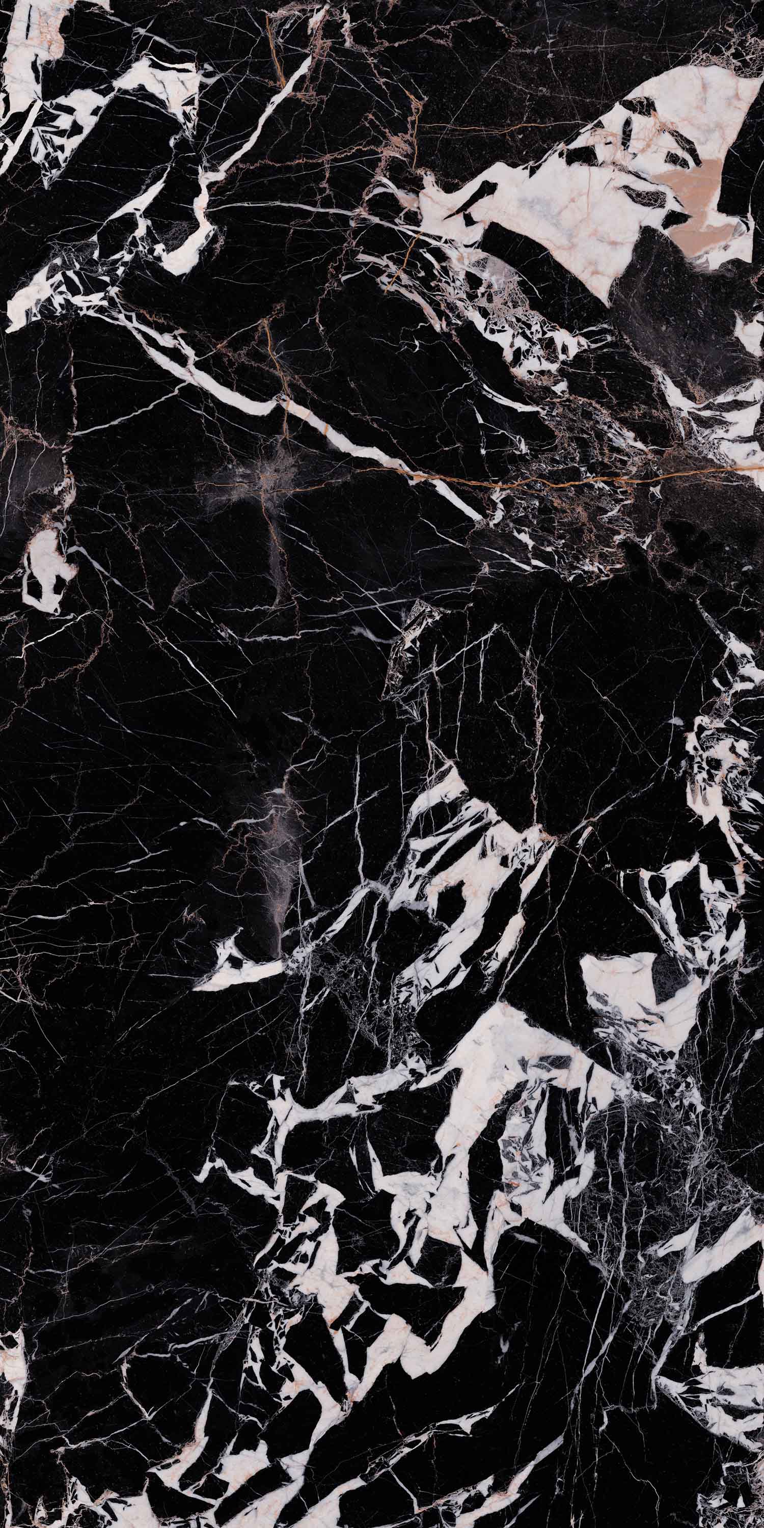 hjc888黄金城--手机版app官网