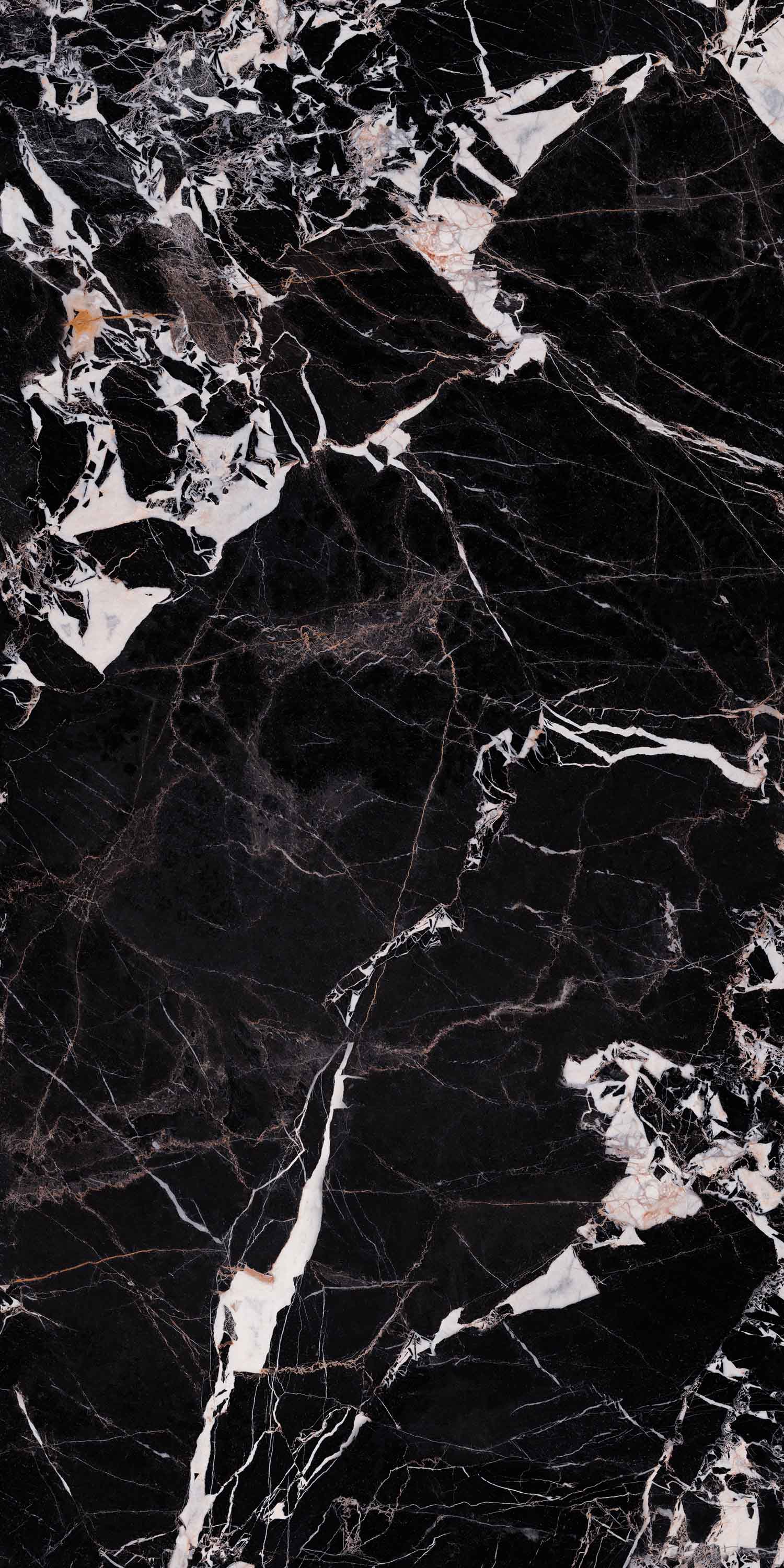 hjc888黄金城--手机版app官网