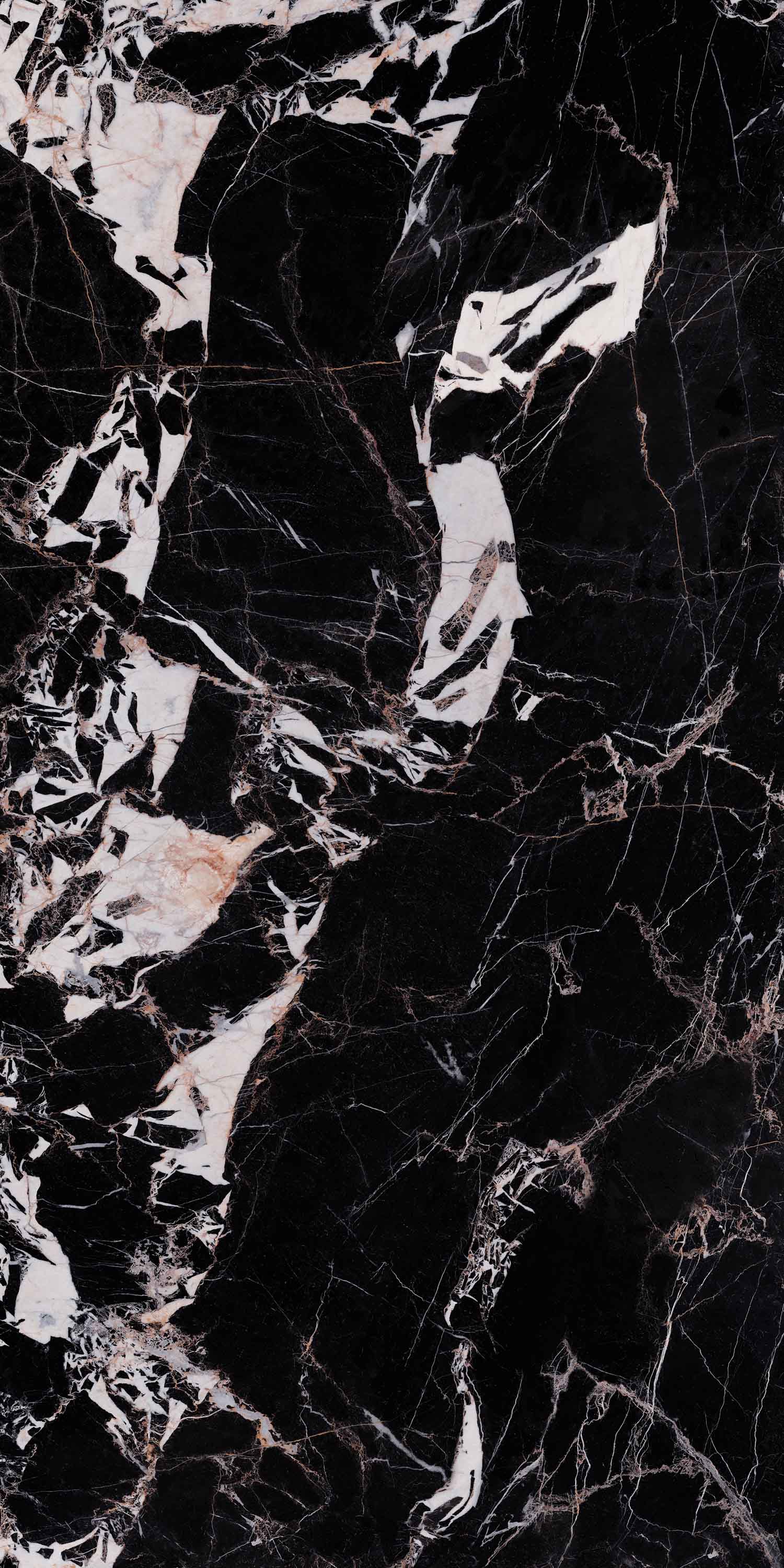 hjc888黄金城--手机版app官网